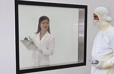 Cleanroom Windows